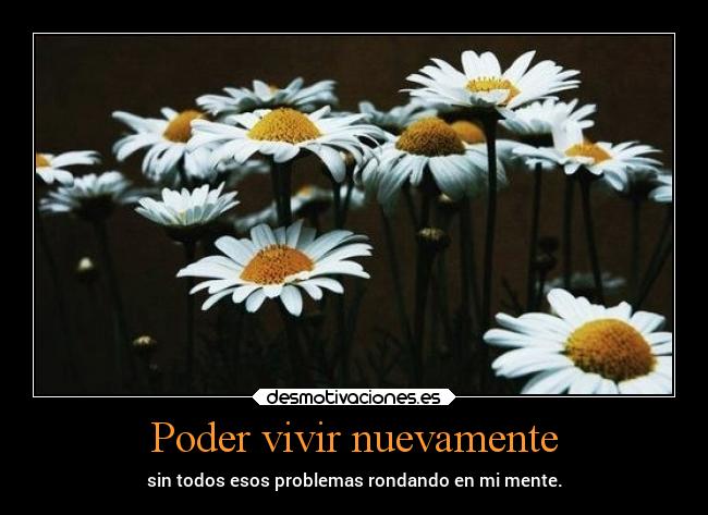 Poder vivir nuevamente - sin todos esos problemas rondando en mi mente.