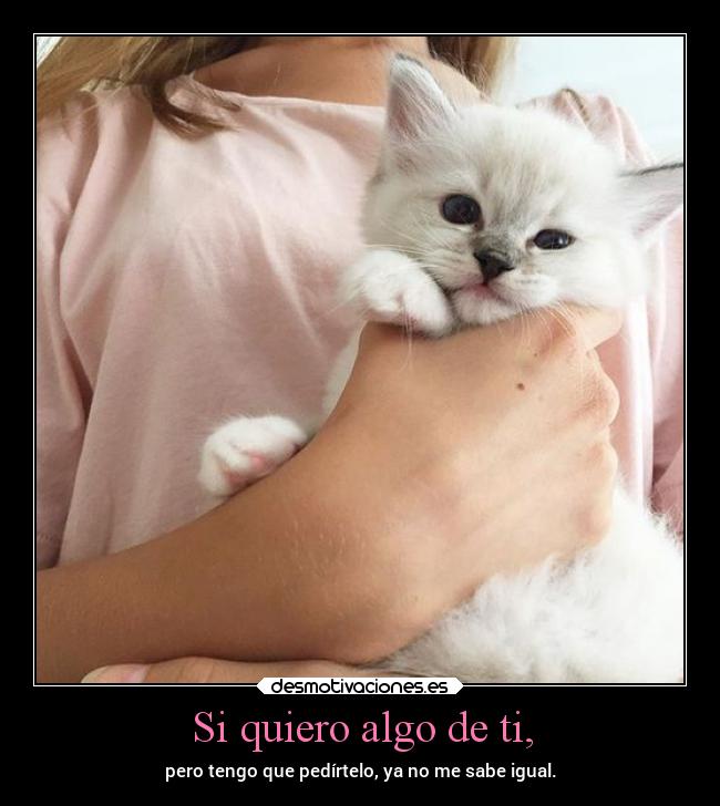 Si quiero algo de ti, - pero tengo que pedírtelo, ya no me sabe igual.