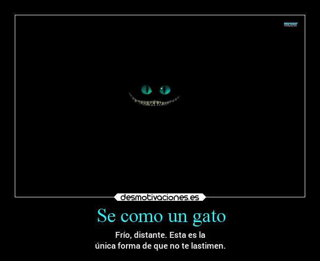 Se como un gato -