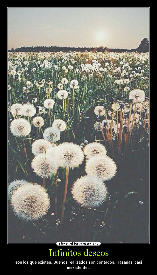 Infinitos deseos -