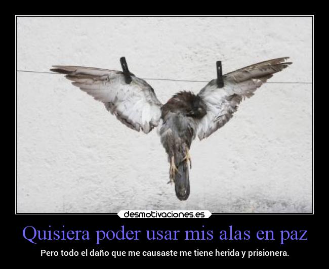 carteles deseos libertad dolor pajaro colgado draconequus49 desmotivaciones