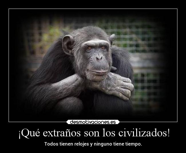 desmotivaciones-dinero-imagenes.jpg