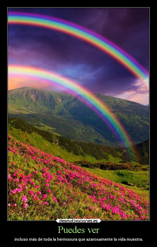 Puedes ver - incluso más de toda la hermosura que azarosamente la vida muestra.