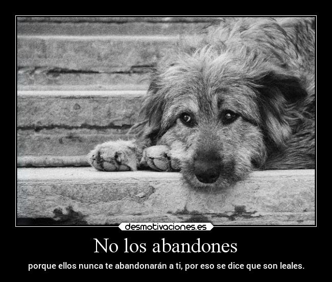 No los abandones - porque ellos nunca te abandonarán a ti, por eso se dice que son leales.