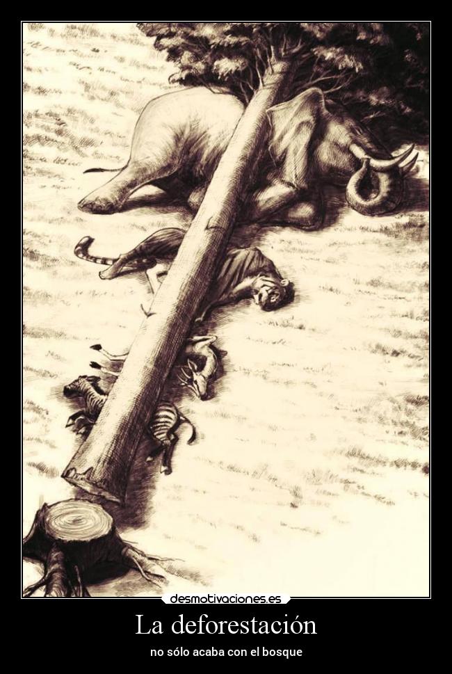 carteles desmotivaciones naturaleza desmotivaciones