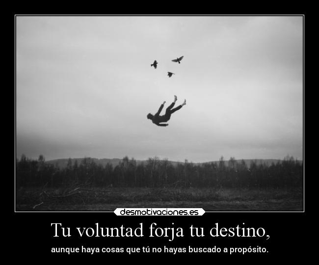 Tu voluntad forja tu destino, -