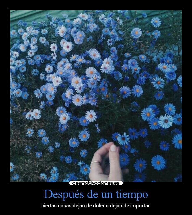 Después de un tiempo - ciertas cosas dejan de doler o dejan de importar.