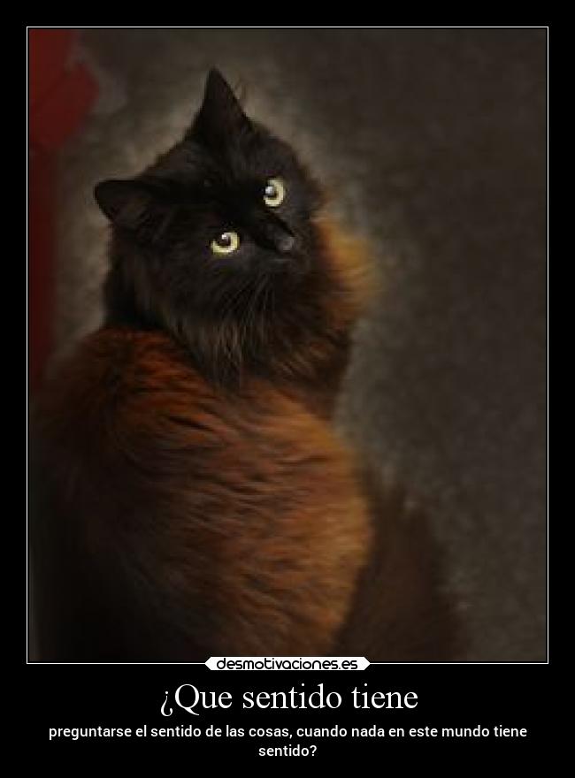 ¿Que sentido tiene - preguntarse el sentido de las cosas, cuando nada en este mundo tiene
sentido?