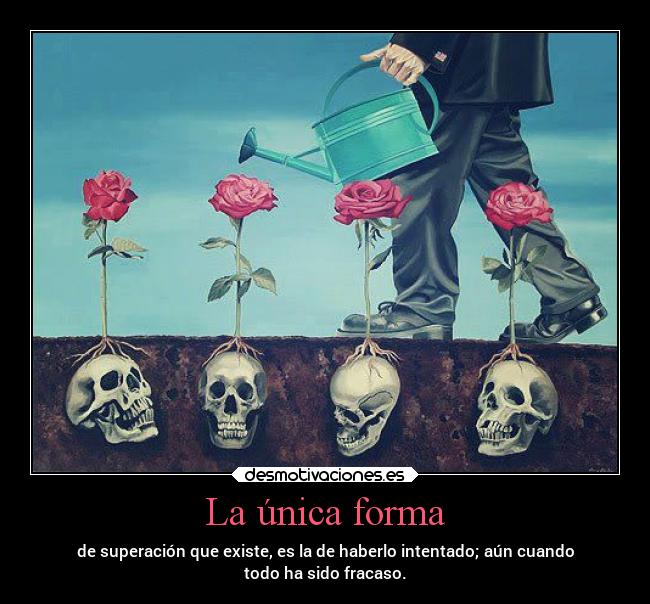 carteles filosofia muerte rosas jardin regar intentar fracaso obstaculo desmotivaciones