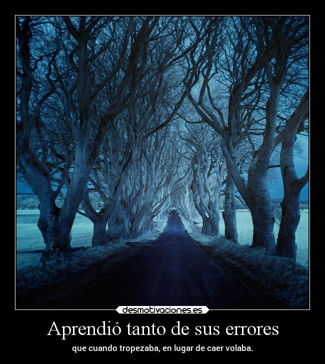 Aprendió tanto de sus errores - que cuando tropezaba, en lugar de caer volaba.