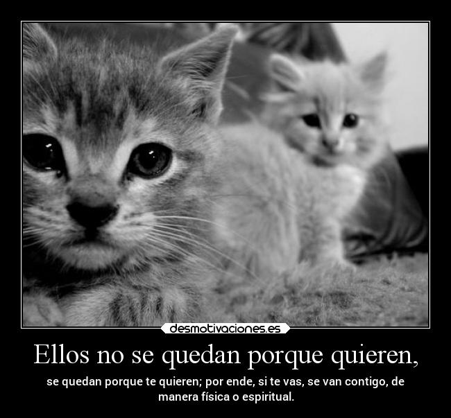 Ellos no se quedan porque quieren, - se quedan porque te quieren; por ende, si te vas, se van contigo, de
manera física o espiritual.