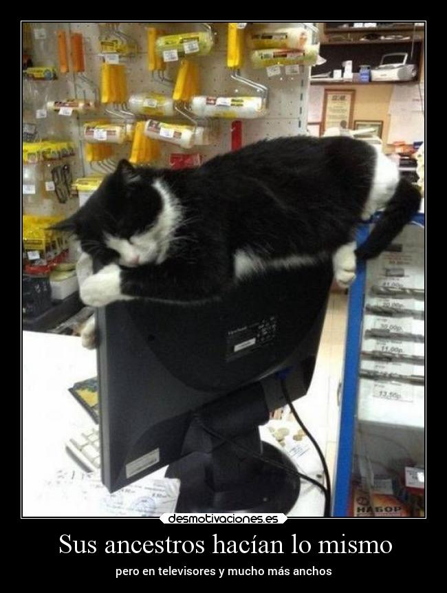 Sus ancestros hacían lo mismo -