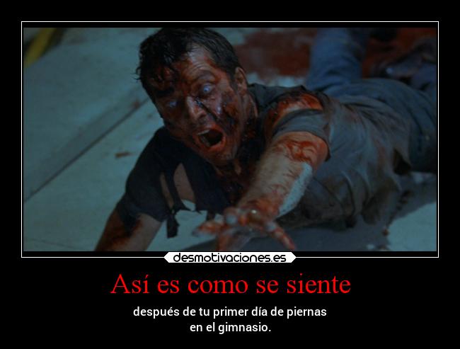 Así es como se siente - después de tu primer día de piernas
en el gimnasio.