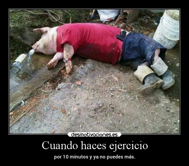 carteles humor desmotivaciones