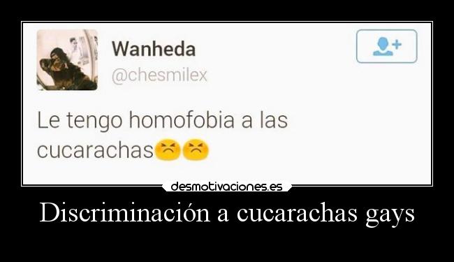 Discriminación a cucarachas gays - 