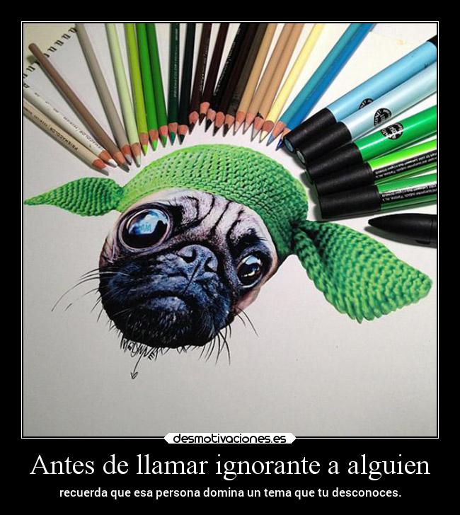 Antes de llamar ignorante a alguien - recuerda que esa persona domina un tema que tu desconoces.