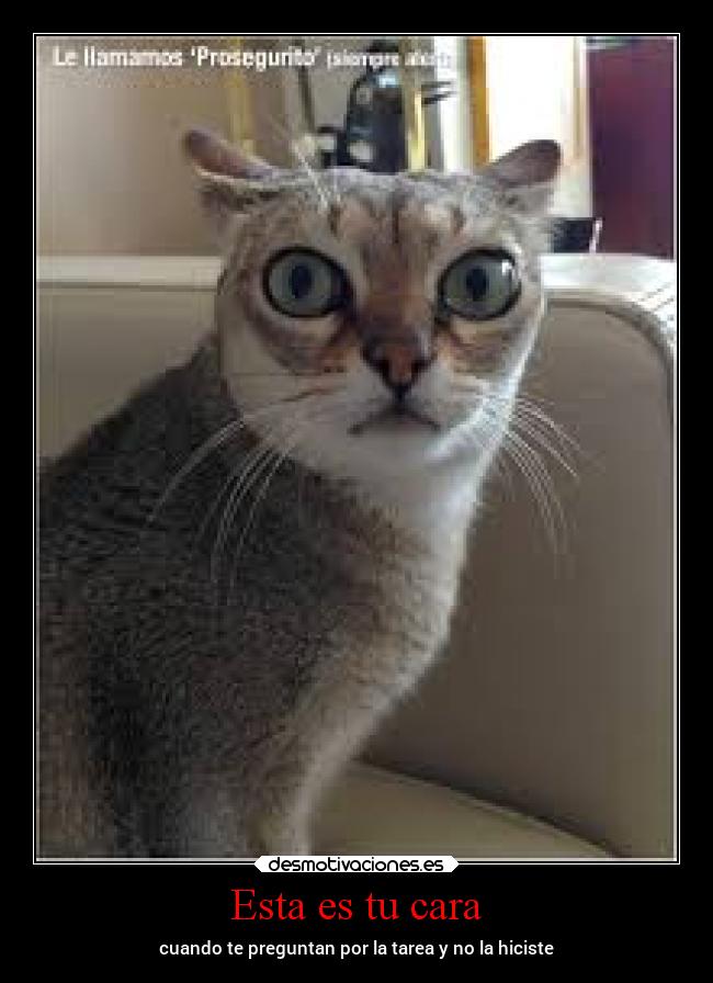Esta es tu cara -