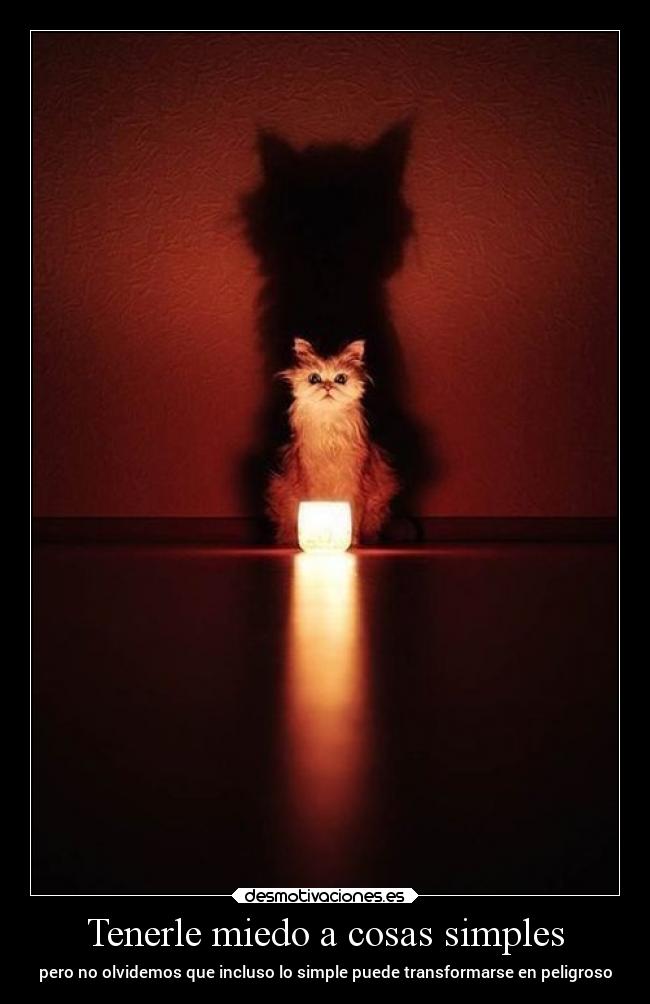 Tenerle miedo a cosas simples -