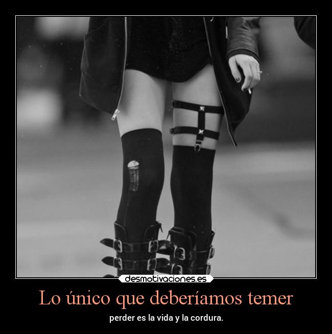 Lo único que deberíamos temer -
