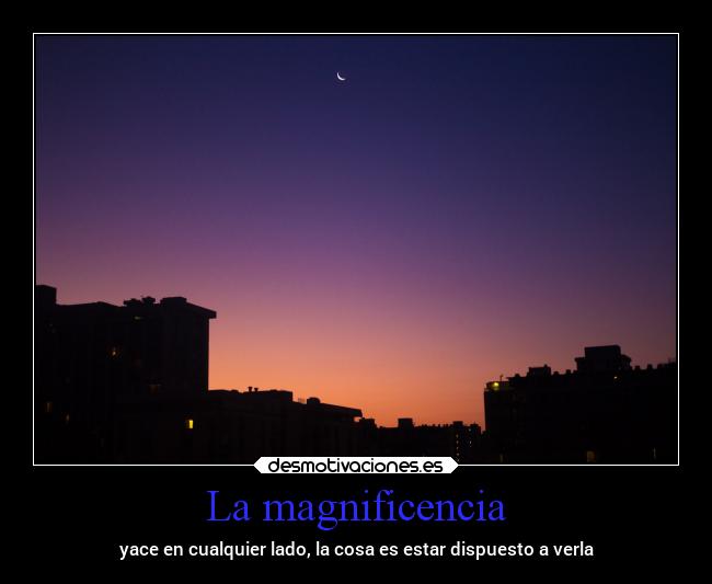 La magnificencia - 