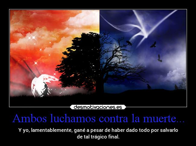 carteles muerte muerte dolor soledad amor pasado vida desmotivaciones