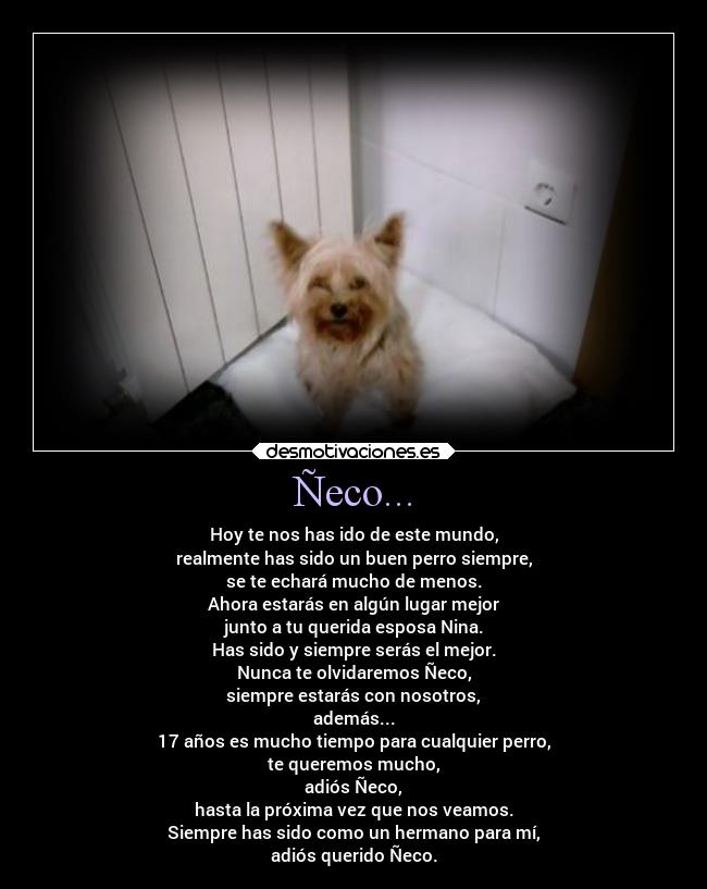 Ñeco... -