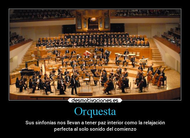 Orquesta - Sus sinfonías nos llevan a tener paz interior como la relajación
perfecta al solo sonido del comienzo