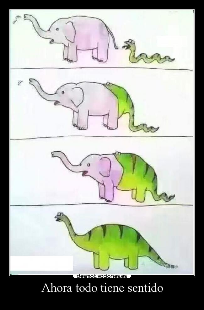 Ahora todo tiene sentido - 