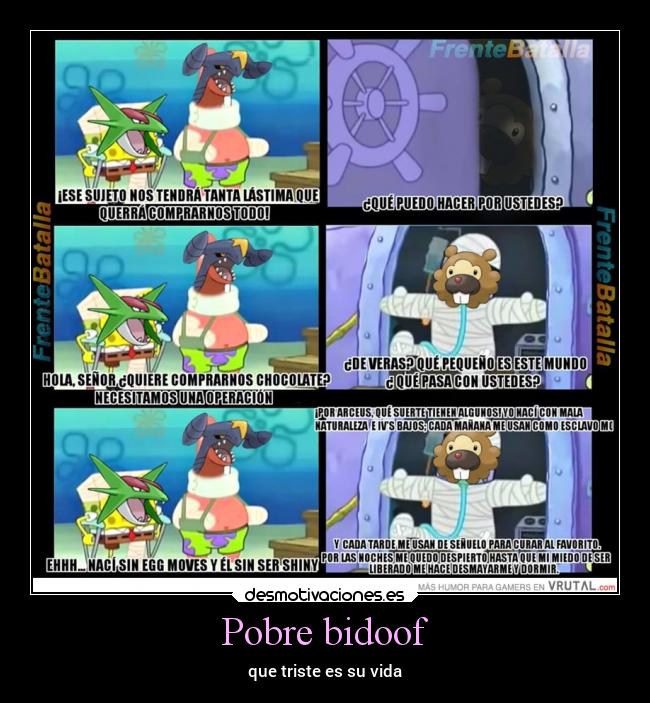 Pobre bidoof -