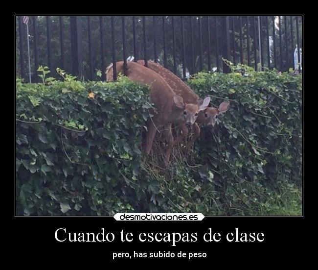 Cuando te escapas de clase - 