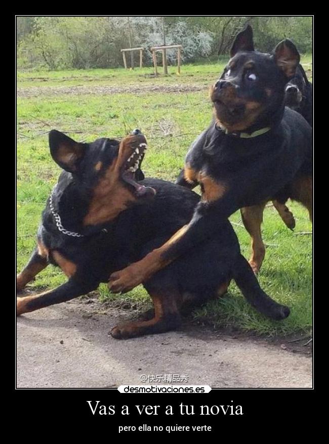 carteles problemas desmotivaciones