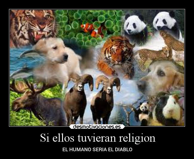 carteles religion amor animales desmotivaciones
