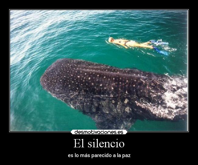 El silencio - es lo más parecido a la paz