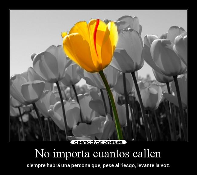 No importa cuantos callen - siempre habrá una persona que, pese al riesgo, levante la voz.