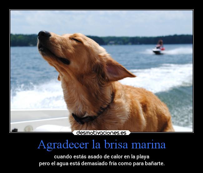 Agradecer la brisa marina - cuando estás asado de calor en la playa
pero el agua está demasiado fría como para bañarte.