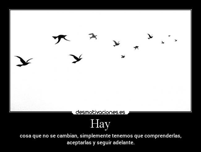 Hay - cosa que no se cambian, simplemente tenemos que comprenderlas,
aceptarlas y seguir adelante.