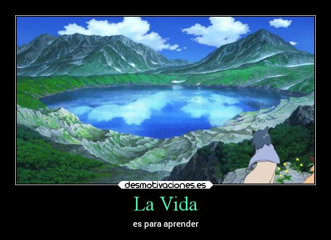 La Vida - 