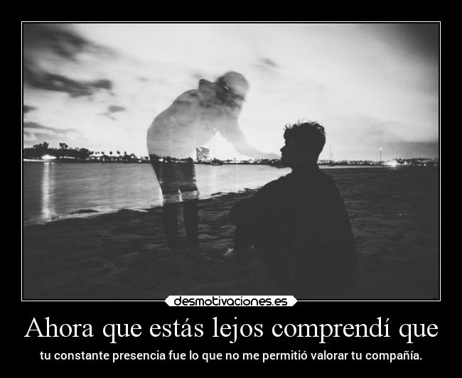 carteles vida desamor recuerdos sentimientos amor soledad desmotivaciones