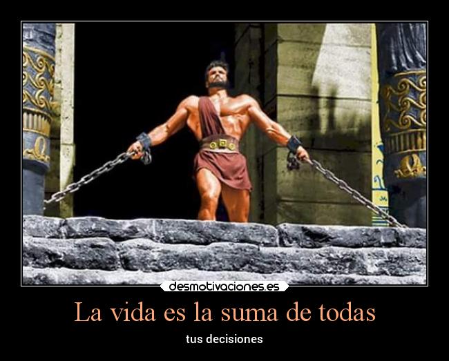 La vida es la suma de todas - 