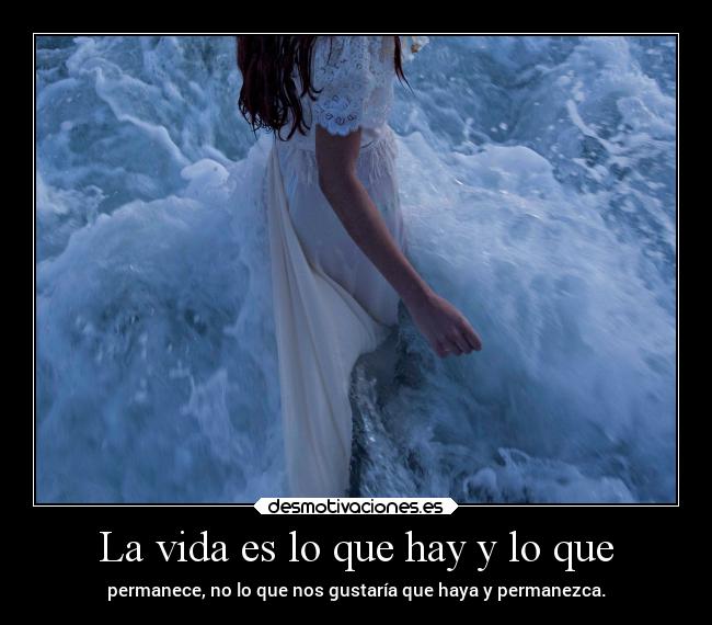 La vida es lo que hay y lo que - 