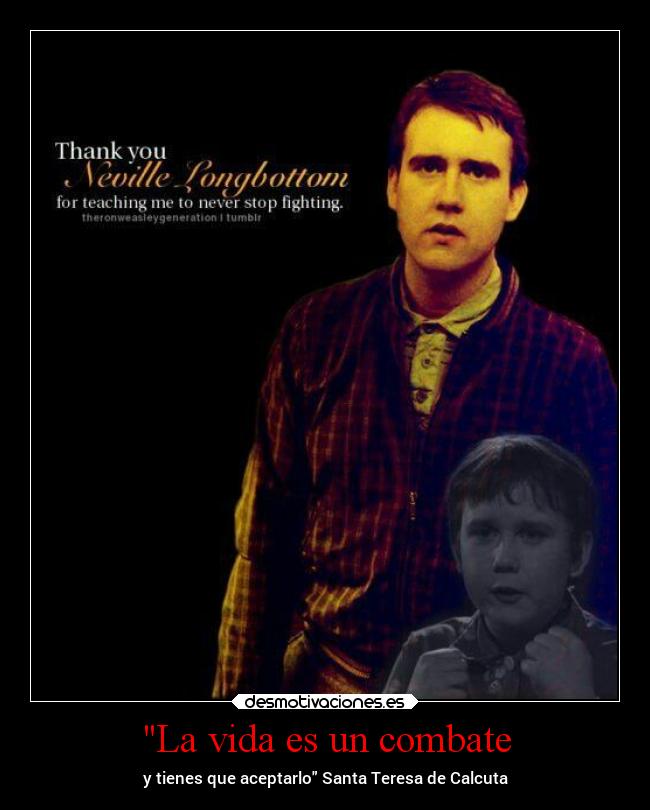 La vida es un combate -