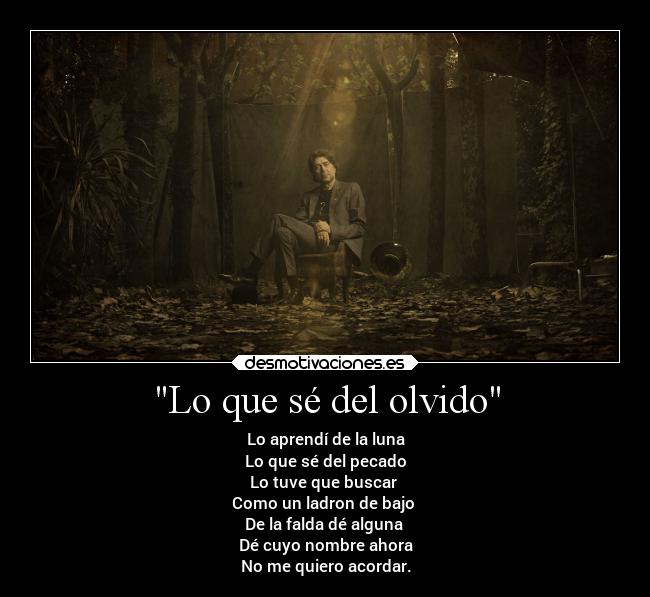 Lo que sé del olvido -