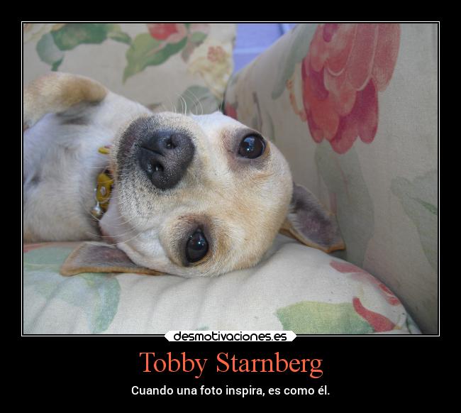 Tobby Starnberg - Cuando una foto inspira, es como él.