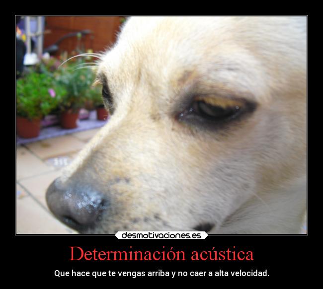Determinación acústica - Que hace que te vengas arriba y no caer a alta velocidad.