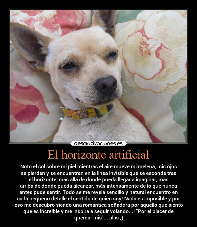 El horizonte artificial - Noto el sol sobre mi piel mientras el aire mueve mi melena, mis ojos
se pierden y se encuentran en la linea invisible que se esconde tras
el horizonte, más allá de dónde pueda llegar a imaginar, más
arriba de donde pueda alcanzar, más intensamente de lo que nunca
antes pude sentir. Todo se me revela sencillo y natural encuentro en
cada pequeño detalle el sentido de quien soy! Nada es imposible y por
eso me descubro siendo una romántica soñadora por aquello que siento
que es increible y me inspira a seguir volando...! Por el placer de
quemar mis... alas ;)
