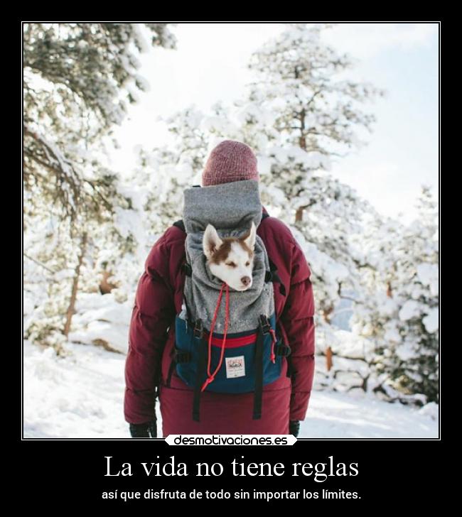 carteles vida vida desmotivaciones