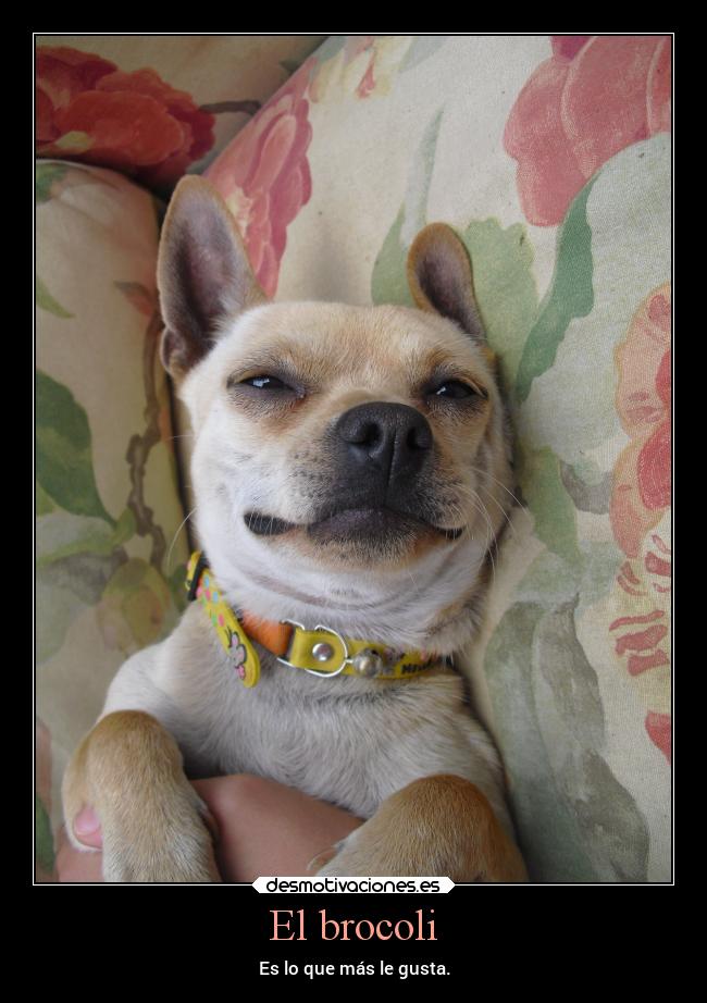 El brocoli - Es lo que más le gusta.