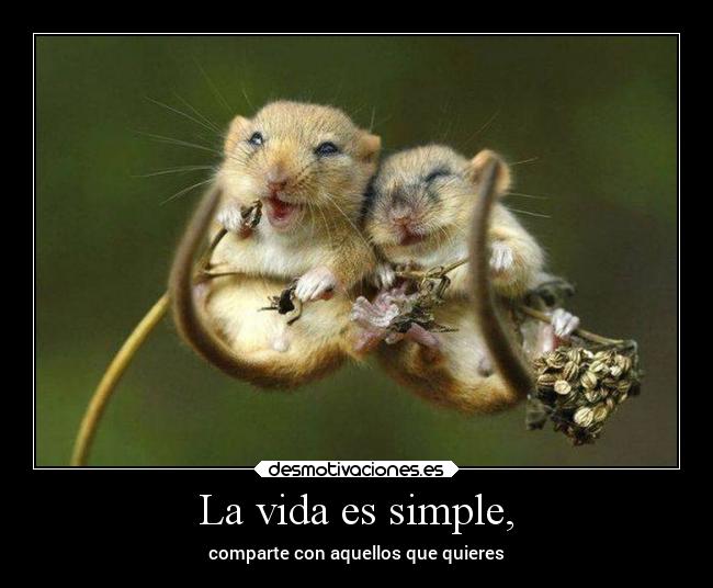 La vida es simple, - 