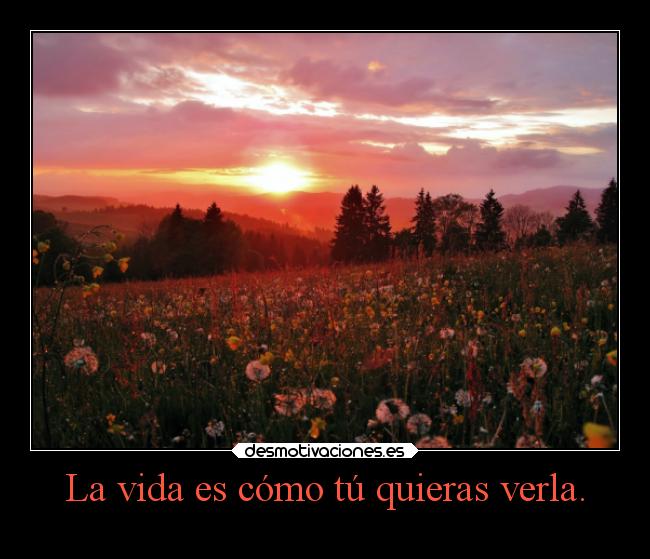 La vida es cómo tú quieras verla. - 
