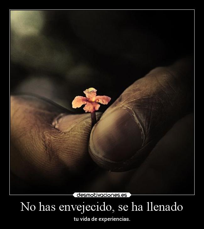 No has envejecido, se ha llenado -